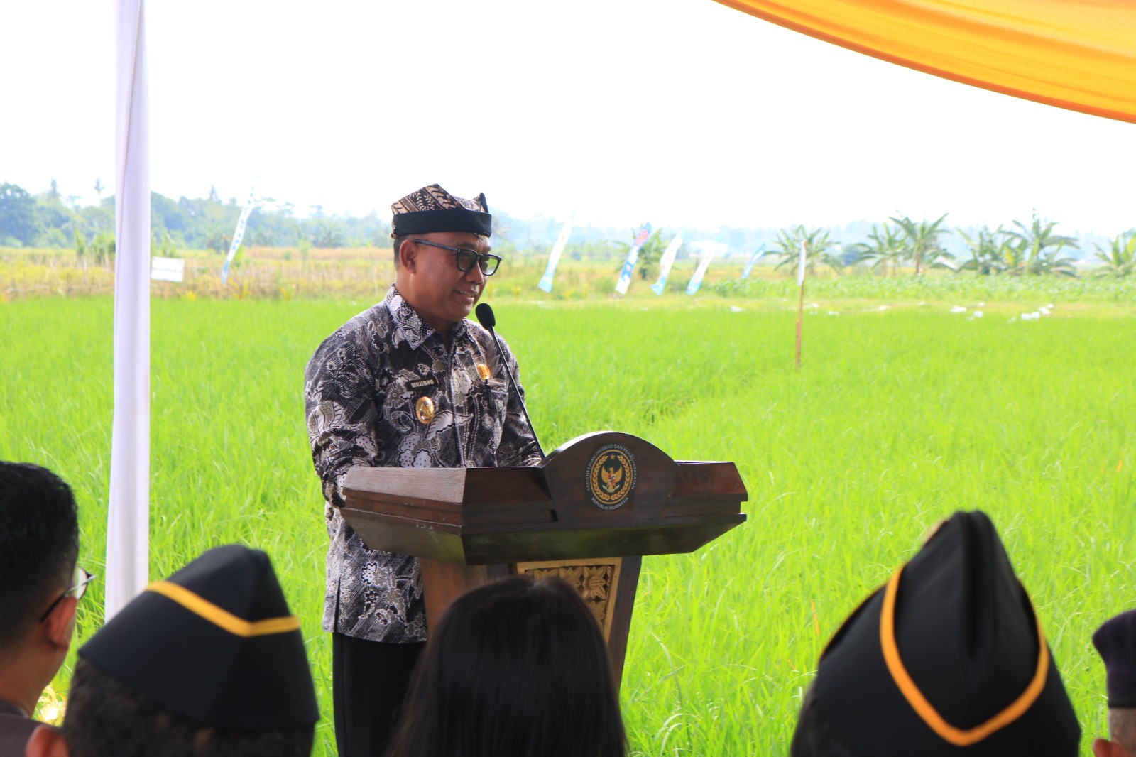 Wabup Banyuwangi,  Mujiono