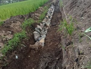Proyek Jaringan Irigasi di Rogojampi Diduga Tidak Sesuai Standar, Masyarakat Minta Dinas Bertindak Tegas