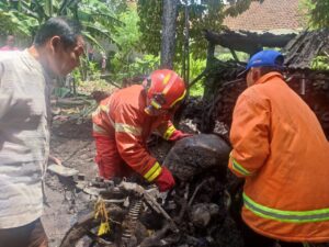 Di Banyuwangi, Sepeda Motor dengan 5 jerigen BBM jenis Pertalite Mengalami kebakaran