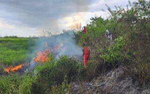 Kebakaran Lahan di Desa Badean Capai 1 Hektar, Dugaan Penyebab Puntung Rokok
