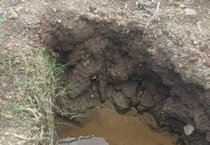 Pelaku Pengurukan Saluran Air di Muncar Bungkam, Warga Adukan ke Dinas Terkait