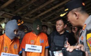 Dua Pencuri Sapi Diringkus Polisi, Salah satu Pelaku Tetangga Korban