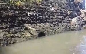 Tambak Udang di Muncar Limbahnya Diduga Tidak Diproses IPAL, Aktivis Laporkan ke Dinas Lingkungan Hidup