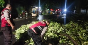 Gercep, Polisi Tangani Pohon Tumbang, Jalur Mudik Kota Kediri Kembali Lancar