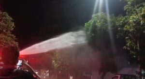 Dinas Damkar Banyuwangi, Berhasil Menangani Kasus Ulat Bulu di Singotrunan