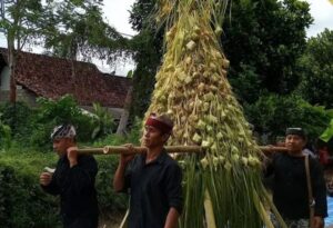 Tradisi Gelar Pitu di Glagah, Banyuwangi, Ungkapan Syukur dan Kebersamaan