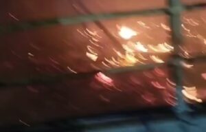 Kebakaran Kandang di Wonosobo Banyuwangi, Melalap Sekitar 28 Ribu Ekor Ayam