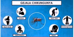 Chikungunya Meluas, Warga Banyuwangi Dihimbau Waspada