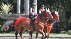 Polri Turunkan Pasukan Berkuda Amankan World Water Forum ke-10 di Bali