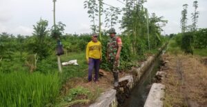 Babinsa Desa Barurejo Bantu Petani Basmi Hama Padi