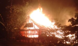 Kebakaran Hebat di Banyuwangi: 7.000 Anak Ayam Terbakar, Kerugian Ditafsir Capai Rp300 Juta