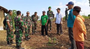 Perkuat Ketahanan Pangan, Dandim 0825/Banyuwangi Pimpin Tinjau Lahan Pertanian