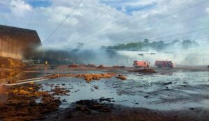 Kebakaran Besar di Mangir Banyuwangi, Gudang Serabut Kelapa 2 Hektar Hangus, Pemadam Berjuang 8 Jam