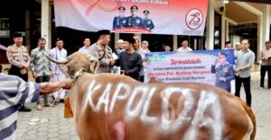 Momentum Idul Adha, Polresta Banyuwangi Serahkan Puluhan Hewan Kurban