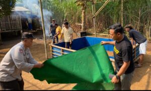 Polres Malang Bongkar Arena Sabung Ayam di Dua Lokasi
