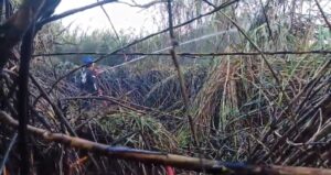 Dinas Damkar Banyuwangi Berhasil Tangani Kebakaran Lahan Dekat Pantai Ancol Banyuwangi
