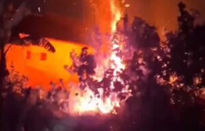 Dua Hari Beruntun, Peristiwa Kebakaran Hebat Melanda Lahan dan Rawa di Banyuwangi