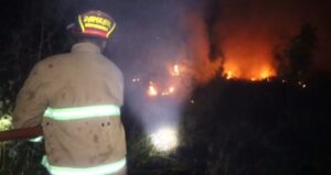 Kebakaran Lahan Kembali Terjadi di Banyuwangi, Berhasil Dipadamkan Tanpa Korban Jiwa