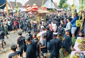 Polresta Banyuwangi laksanakan Pengamanan Kebo-Keboan Alasmalang: Tradisi Syukur Masyarakat Banyuwangi