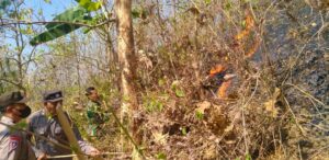 Polisi Bersama TNI dan Relawan Berhasil Padamkan Kebakaran di Gunung Liliran Ngawi
