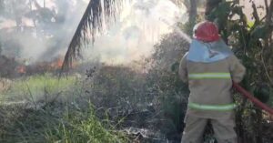 Hampir 3 Hektar Lahan Kosong di Sumberrejo Banyuwangi Terbakar, Angin Kencang Mempercepat Penyebaran Api