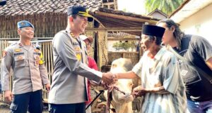 Polisi Berhasil Ungkap Komplotan Pencuri Sapi di Lumajang,Dua Tersangka Diamankan