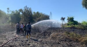 Sinergitas TNI dan Polri Bersama Warga Bantu Padamkan Kebakaran Lahan di Mojokerto
