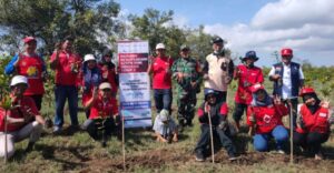 PMI Banyuwangi Lakukan Penanaman Mangrove sebagai Bagian dari Aksi Adaptasi Iklim
