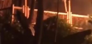 Kafe Bambu “Paglak Petung” Banyuwamgi Hangus Terbakar, Kerugian Ditafsir Capai Rp 400 Juta