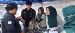 Peringatan Hari Rabies dan gerakan GOCAT di Banyuwangi, 400 Hewan Penular Rabies Divaksinasi