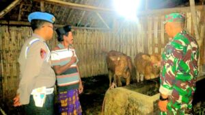 Sinergitas Polisi Bersama TNI di Lumajang Rutin Patroli Malam Cegah Pencurian Hewan Ternak