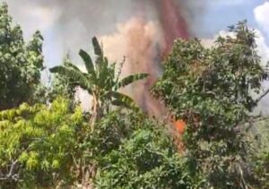 Kebakaran Lahan di Banyuwangi, Warga Panik : Diduga Akibat Puntung Rokok