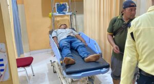 Tragis! Dua Warga Banyuwangi Tersengat Tawon Gung, Satu Meninggal Dunia