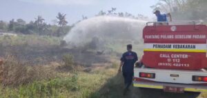 Kebakaran Lahan Kosong Dekat Permukiman di Rogojampi, Damkarmat Tanggap Cepat Padamkan Api