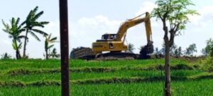 Kerusakan Lahan Produktif di Banyuwangi Diduga Akibat Tambang Ilegal, KPB Siap Laporkan ke Polda Jatim