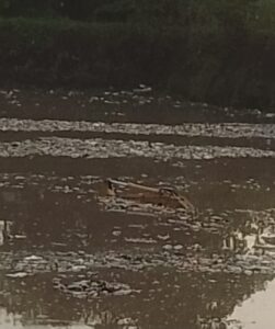 Sedikitnya 2 Excavator Terendam di TPA Concrong Akibat Banjir, KPB Sebut Pemerintah Kurang Tanggap dan Gagal Mengkaji Risiko