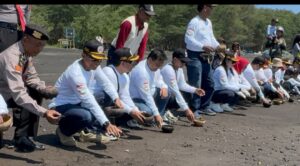 PAMDI Banyuwangi Gelar Bakti Sosial dan Pelepasan Tukik di Pantai Cemara