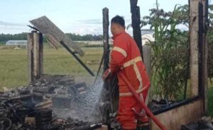 Warung Makan di Sempu Hangus Dilalap Api, Kerugian Capai Rp 30 Juta