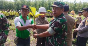 Kodim 0825 Banyuwangi dan Perhutani Laksanakan Penanaman Pohon Jati di Hutan Karetan