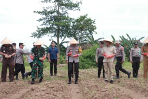 Polres Jember Tanam Bibit Jagung Seluas 3 Ha di Kaki Gunung Watangan, Dukung Asta Cita Presiden Prabowo Subianto