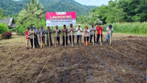 Program Tanam Jagung Satu Juta Hektare Digelar di PTPN I Regional 5 Banyuwangi untuk Dukung Ketahanan Pangan