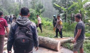 Sigap, Polisi bersama Warga Tangani Longsor di Ponorogo, Jalur Ngrayun-Jajar Kembali Lancar