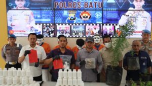 Polres Batu Berhasil Amankan Tersangka Penanam Pohon Ganja