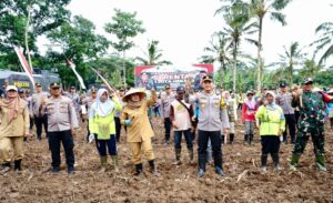 Banyuwangi Siapkan 650 Hektare Lahan untuk Program Penanaman Jagung Serentak 1 Juta Hektare