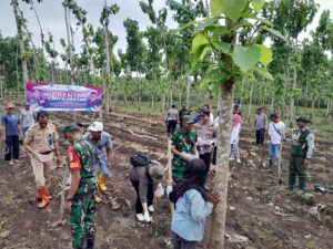Polresta Banyuwangi Bersama Kelompok Tani Tanam Jagung Serentak Gelorakan Swasembada Pangan