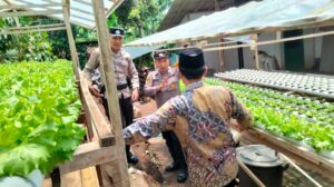 Bhabinkamtibmas Polresta Banyuwangi Dukung Pemanfaatan Pekarangan Pangan Bergizi Dengan Hidropinik