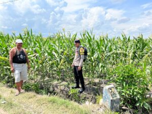 Bhabinkamtibmas Polresta Banyuwangi Aktif Dampingi Petani untuk Wujudkan Ketahanan Pangan
