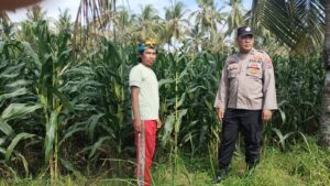 Peran Aktif Bhabinkamtibmas Polresta Banyuwangi dalam Program Ketahanan Pangan Dengan Monitoring tanaman Jagung