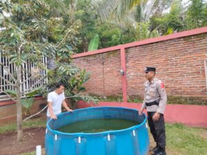 Budi Daya Ikan Komsumsi; Bhabinkamtibmas Polresta Banyuwangi Dukung Ketahanan Pangan dalam Program Pemanfaatan Lahan Pekarangan