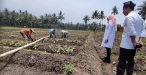 Pemkab Banyuwangi Dorong Anak Muda Terjun ke Dunia Pertanian, Sejalan Program Asta Cita